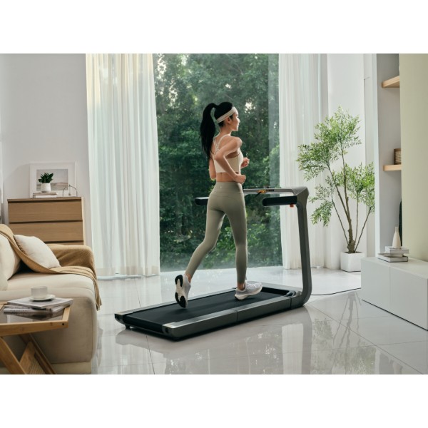 Фото - Беговая дорожка KingSmith WalkingPad Treadmill X218